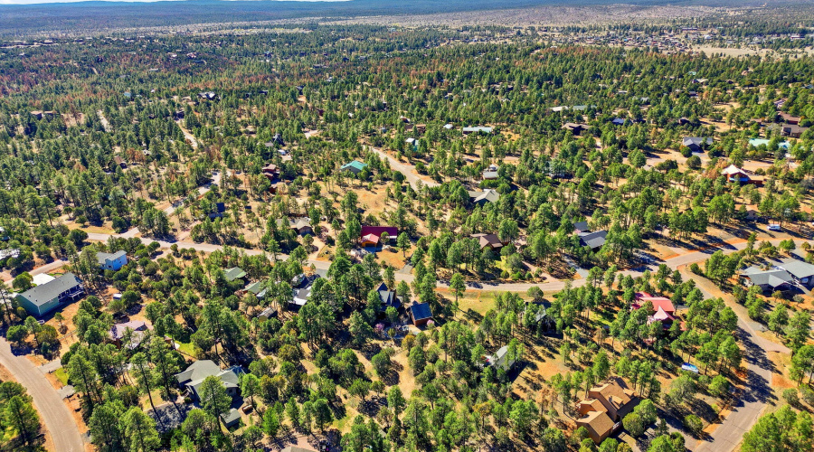 2232ForestParkDr-HeberOvergaard-AZ-41