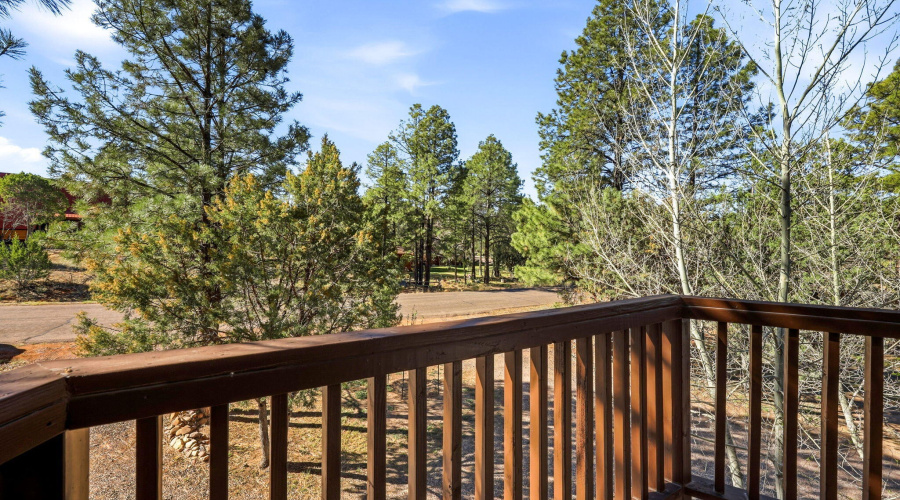 2232ForestParkDr-HeberOvergaard-AZ-24