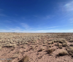 Tbd Vein Of Gold Unit 7 Lot 90, Sun Valley, Arizona 86029, ,Land,For Sale,Vein Of Gold Unit 7 Lot 90,259563