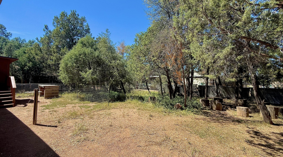 BACK YARD