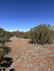 8490 Canyon Drive, Show Low, Arizona 85901, ,Land,For Sale,Canyon,260180