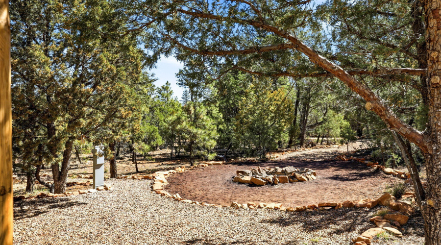 2787ParadisePines-HeberOvergaard-AZ-29