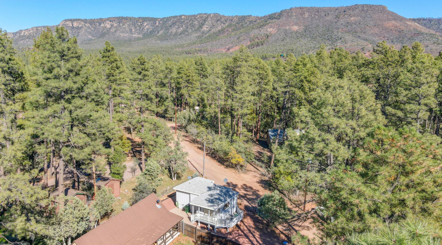 mls-DJI_0675_6_7 copy