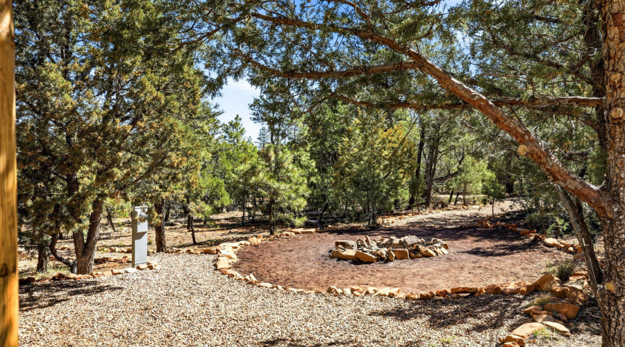 2787ParadisePines-HeberOvergaard-AZ-29