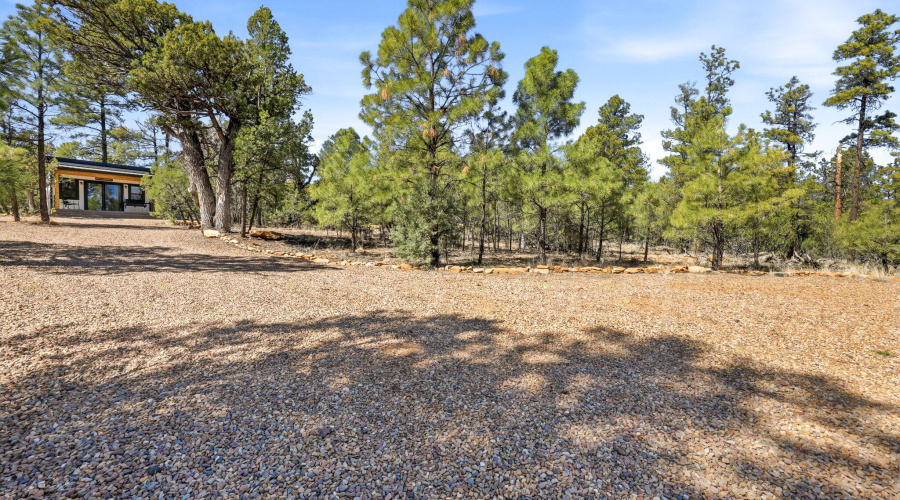 2787ParadisePines-HeberOvergaard-AZ-31