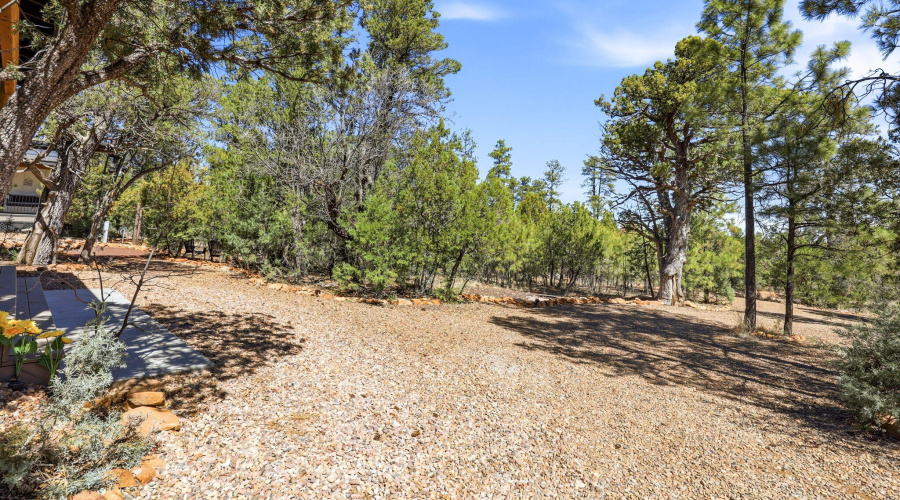 2787ParadisePines-HeberOvergaard-AZ-32