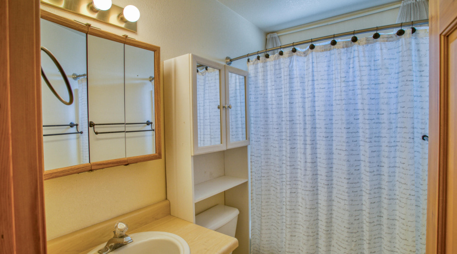 Down Stairs Bathroom
