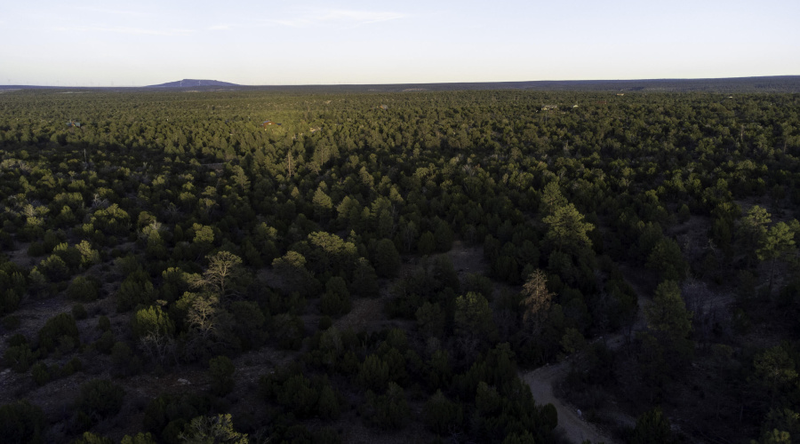 DJI_0471