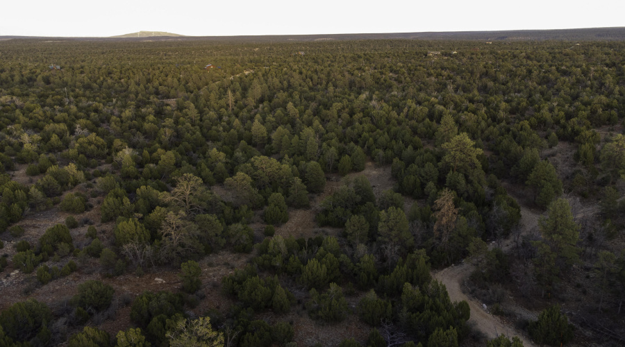 DJI_0463