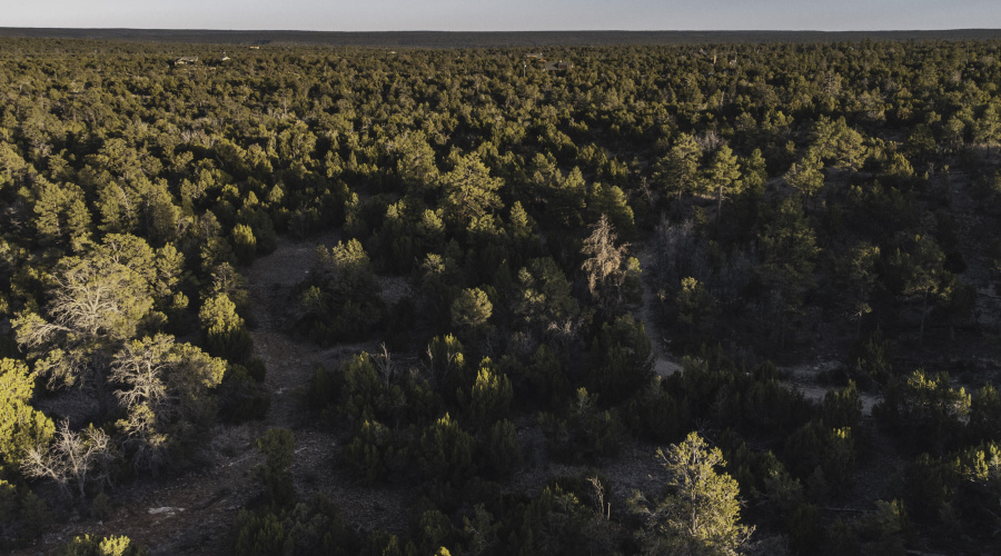 DJI_0441