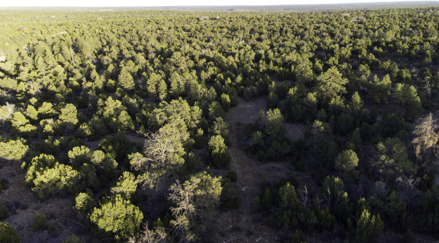 DJI_0443