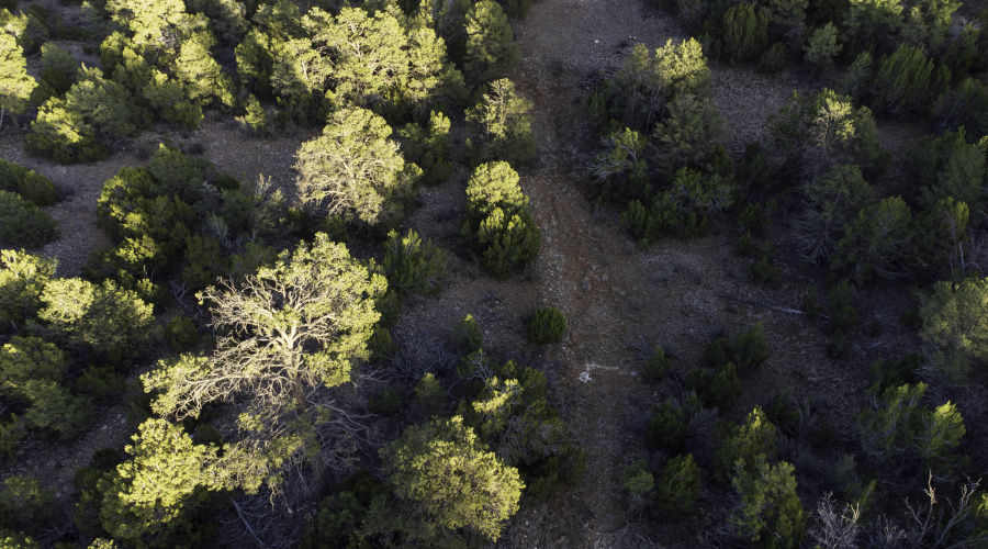 DJI_0444