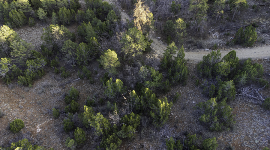 DJI_0445