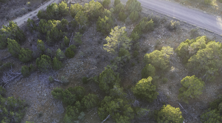 DJI_0446