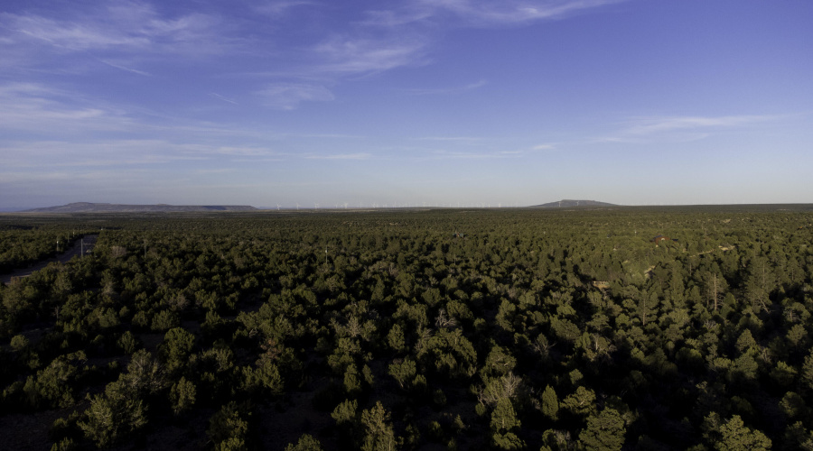 DJI_0448