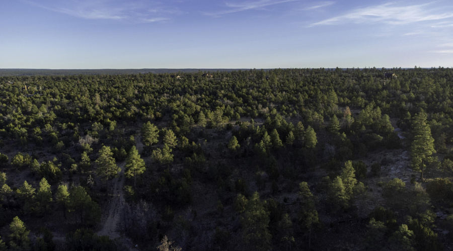 DJI_0453
