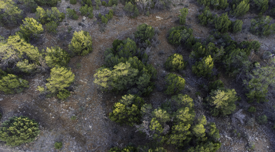 DJI_0459