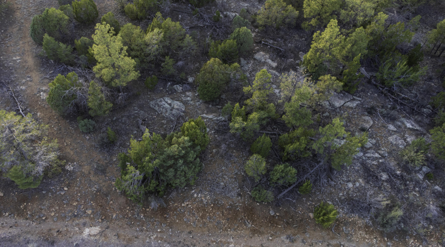 DJI_0461