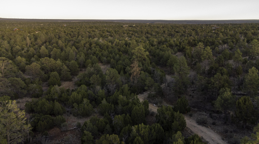 DJI_0462