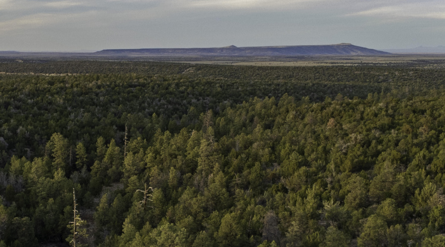 DJI_0466