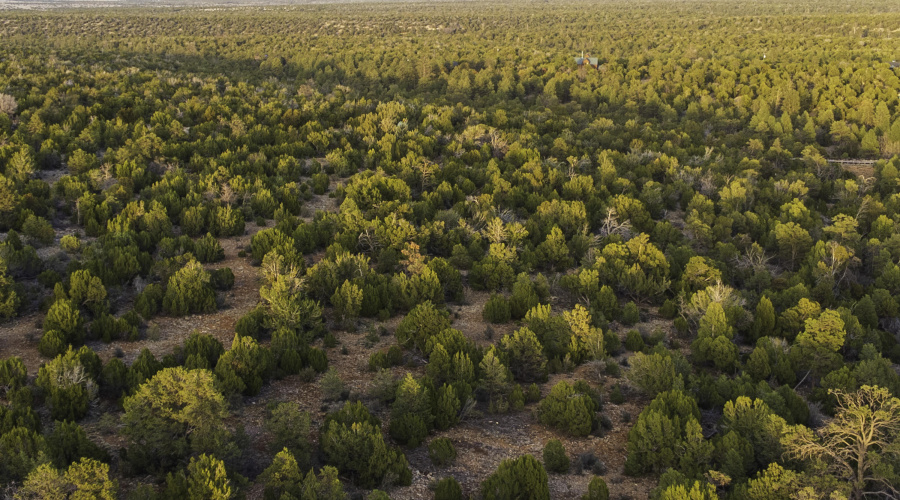 DJI_0468