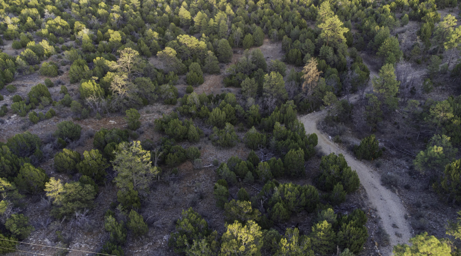 DJI_0469