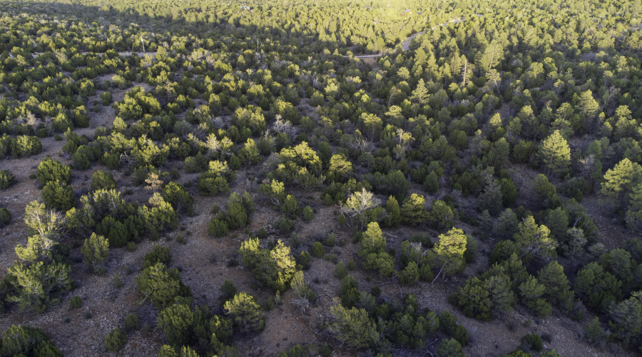 DJI_0473