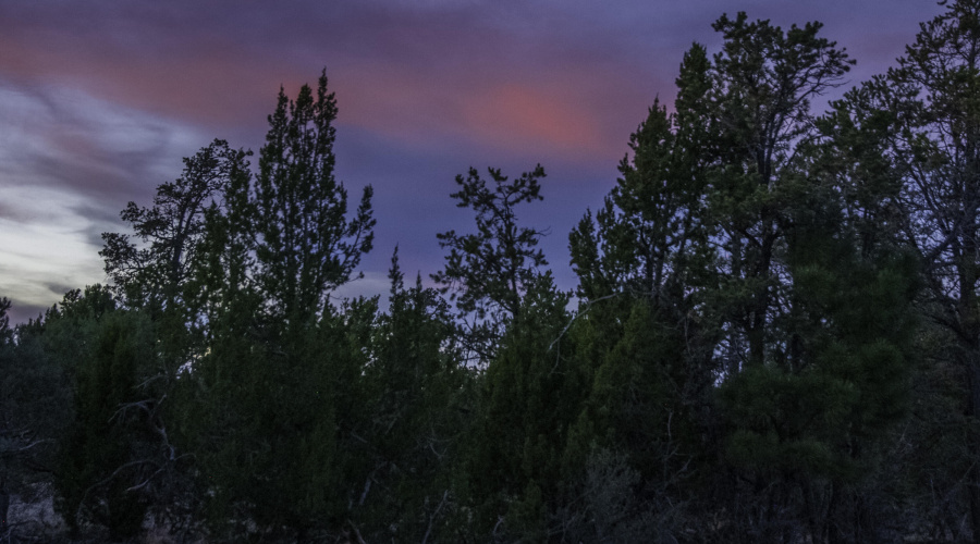 Sunset Ridge