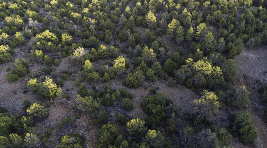 DJI_0475