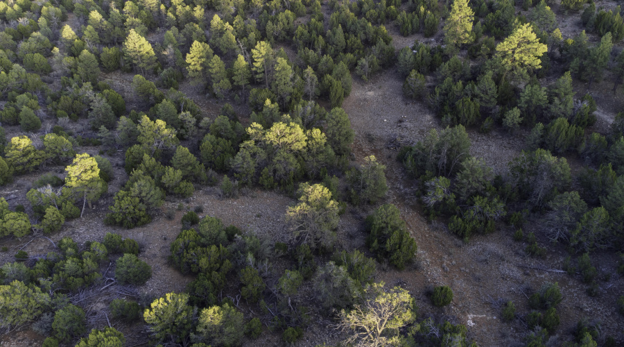 DJI_0476