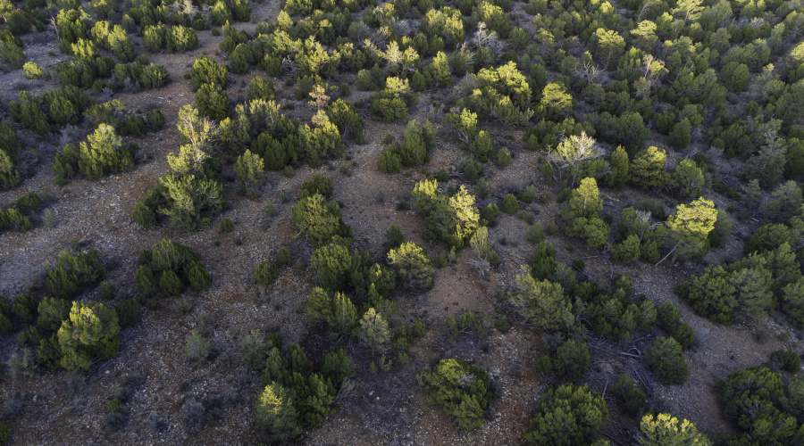 DJI_0477
