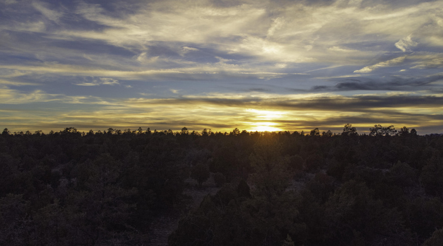 DJI_0479