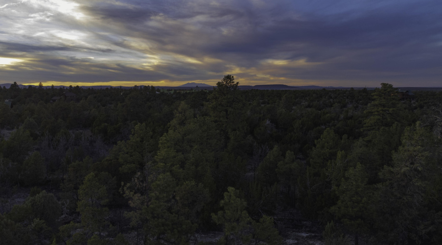 DJI_0480