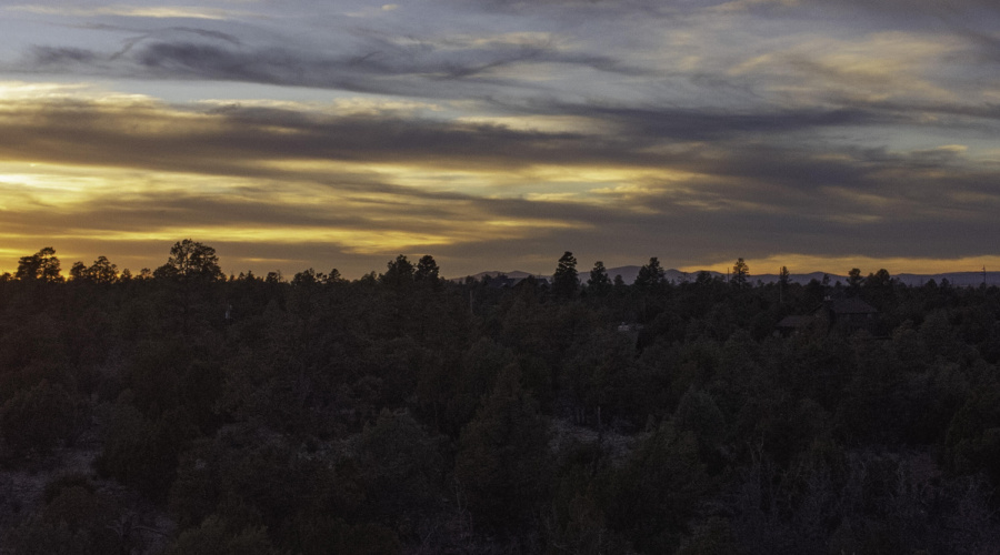 DJI_0483