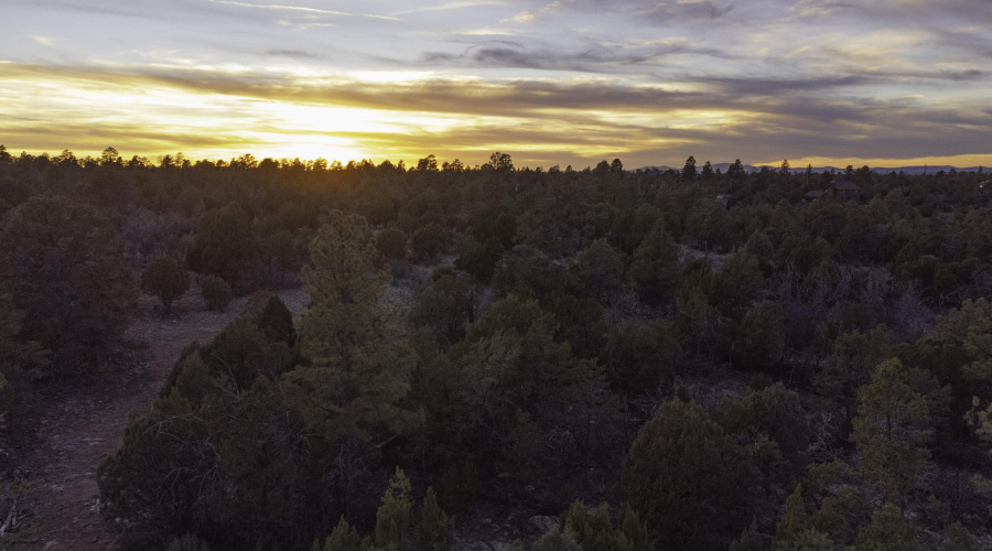 DJI_0484