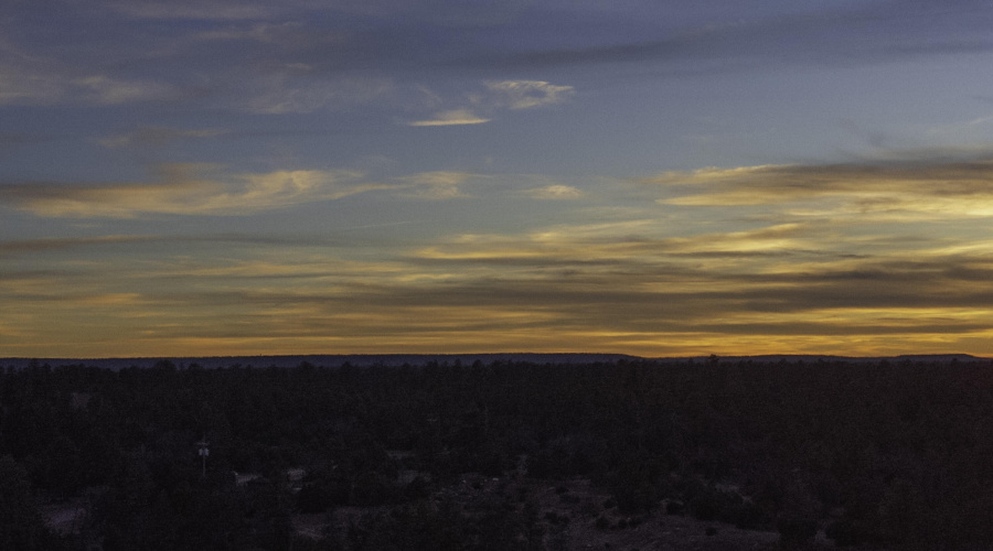 DJI_0491