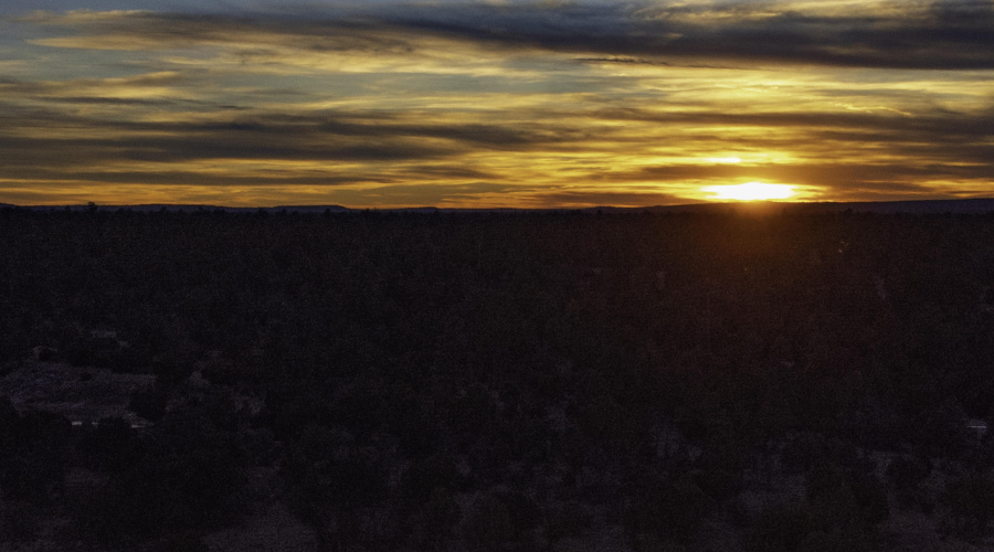 DJI_0492