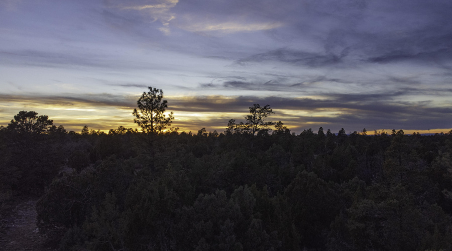 DJI_0493