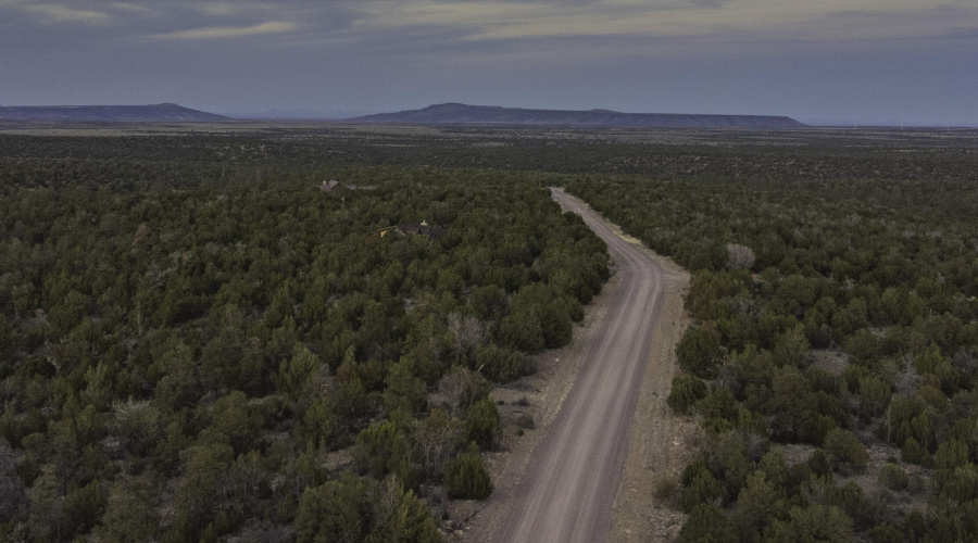 DJI_0501