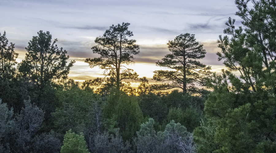 Sunset at 3633