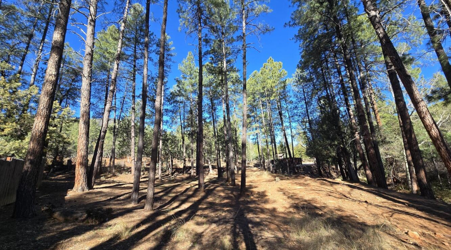 Pine, AZ Lot for Sale