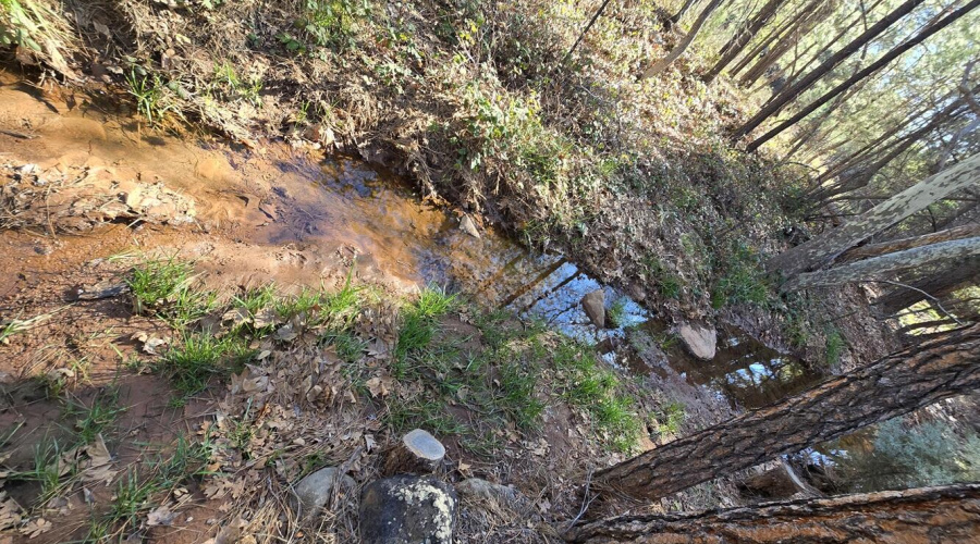 Seasonal Creek at back of Lot (2)