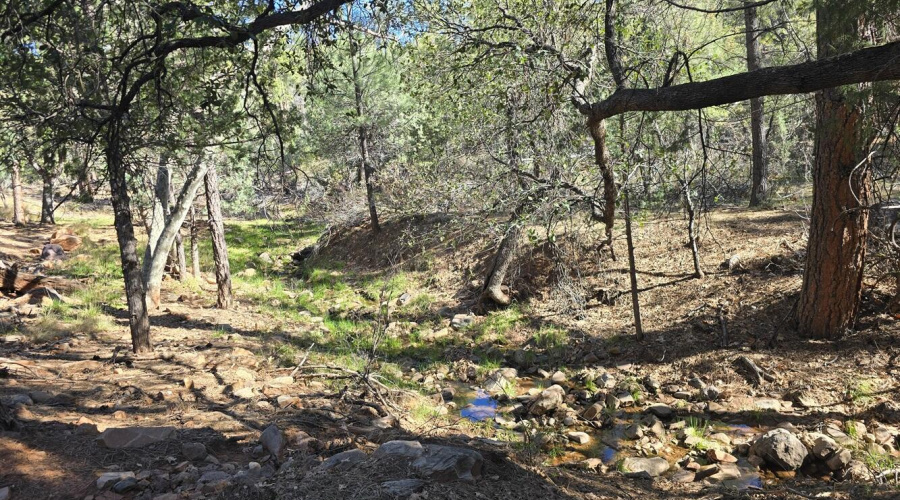 Seasonal Creek at back of Lot (3)