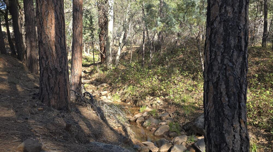 Seasonal Creek at back of Lot