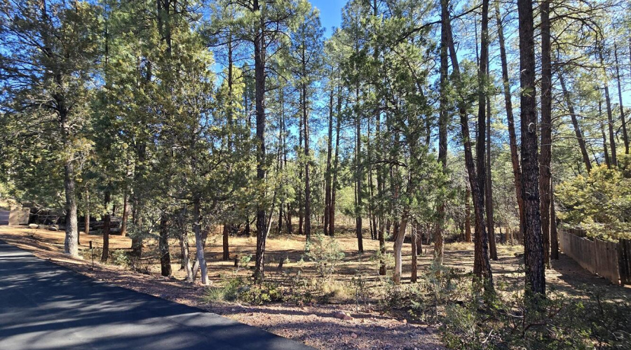 Private Lot