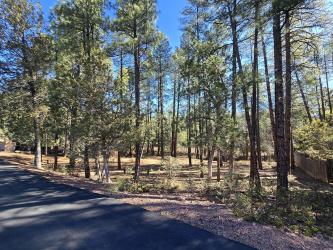 Lot 18 Strawberry Hollow, Pine, Arizona 85544, ,Land,For Sale,Strawberry Hollow,93670