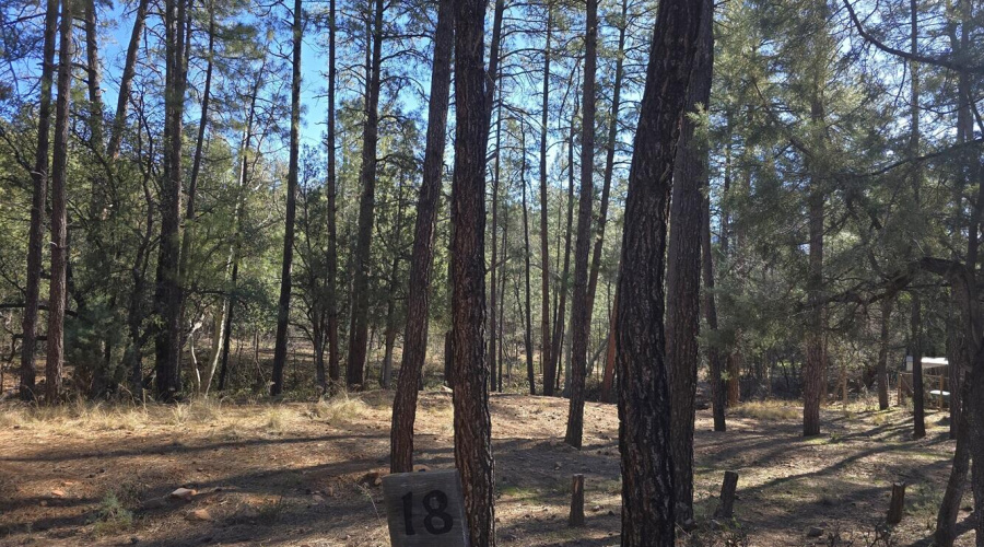 Lot 18 Strawberry Hollow