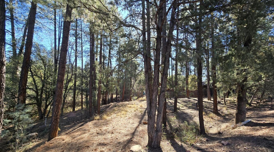 0.31 Acre Lot