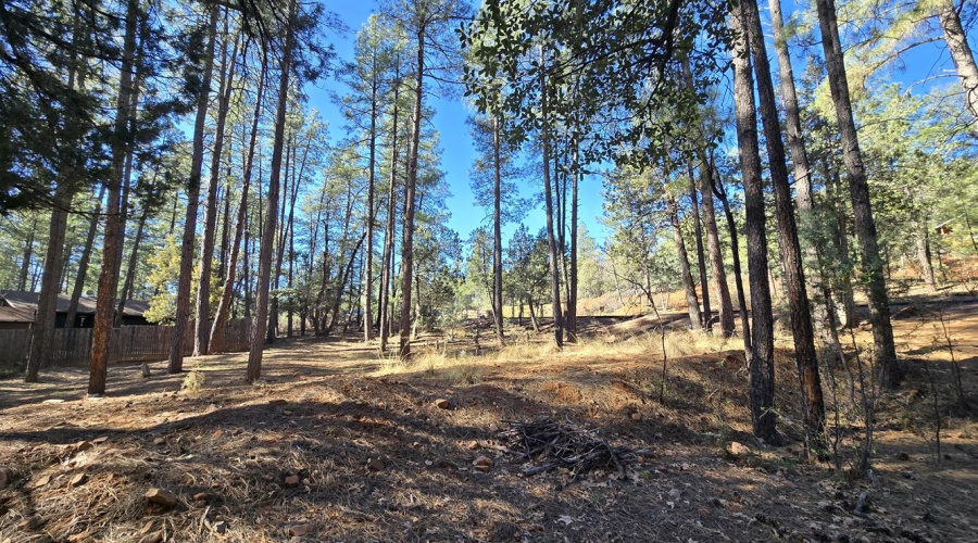Straberry Hollow Lot for Sale