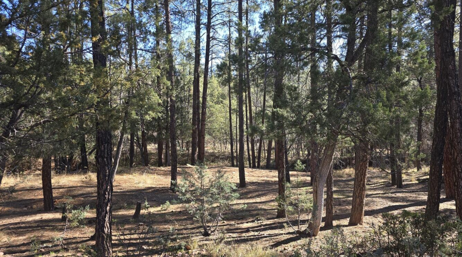 Gated Community Lot for Sale
